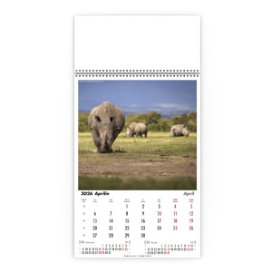 Calendar de Perete Natura Neimblanzita - Img 5