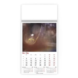Calendar de Perete Flori Salbatice Horia Bogdan - Img 6
