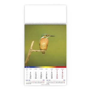 Calendar de Perete Romania Salbatica Pasari - Img 6