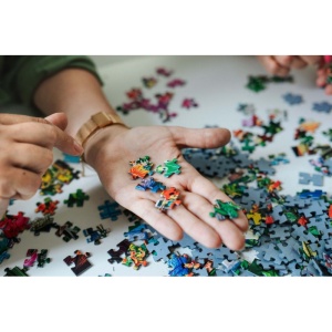 Puzzle carton 500 piese Trefl Pasari colorate - Img 2