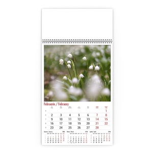 Calendar de Perete Flori Salbatice Horia Bogdan - Img 3