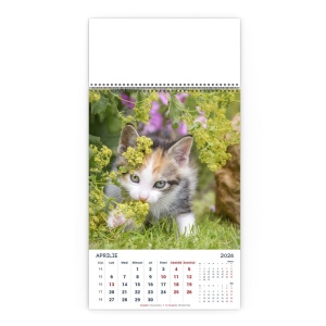 Calendar de Perete Miaunei - Img 5