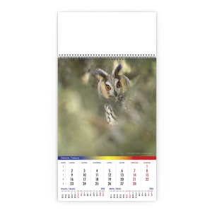 Calendar de Perete Romania Salbatica Pasari - Img 3