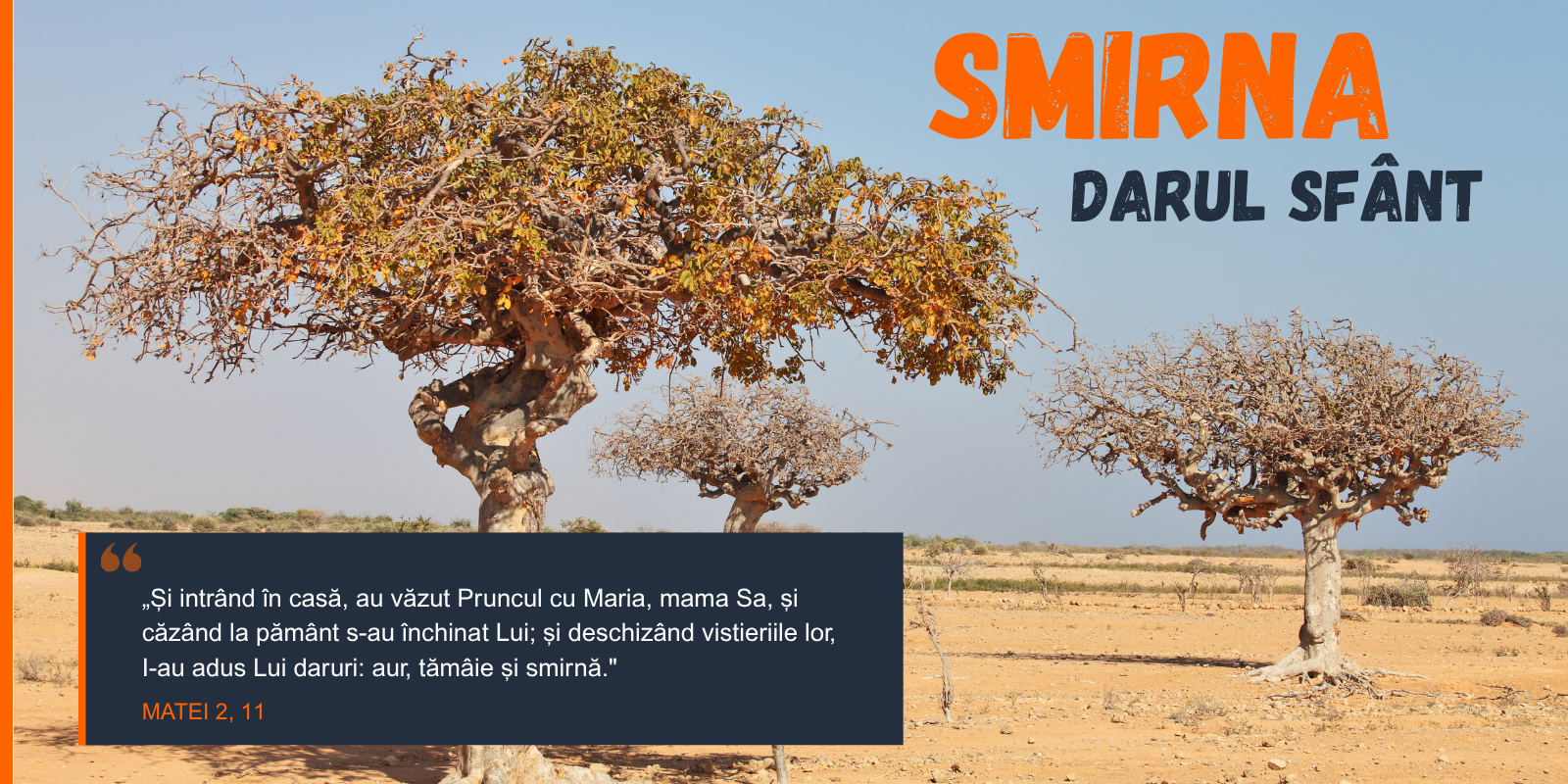 Smirna - darul sfânt