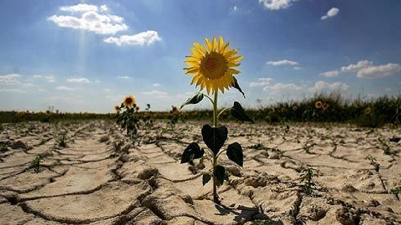 Fără harul lui Dumnezeu, suntem asemenea pământului uscat