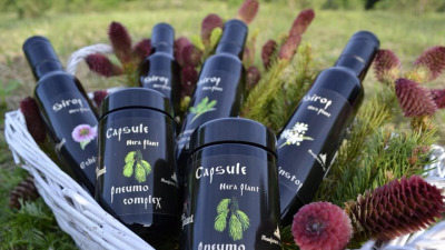 Remedii naturiste pentru bolile copilăriei