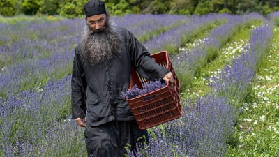 Să se facă voia Lui în viața mea, în fiecare zi…