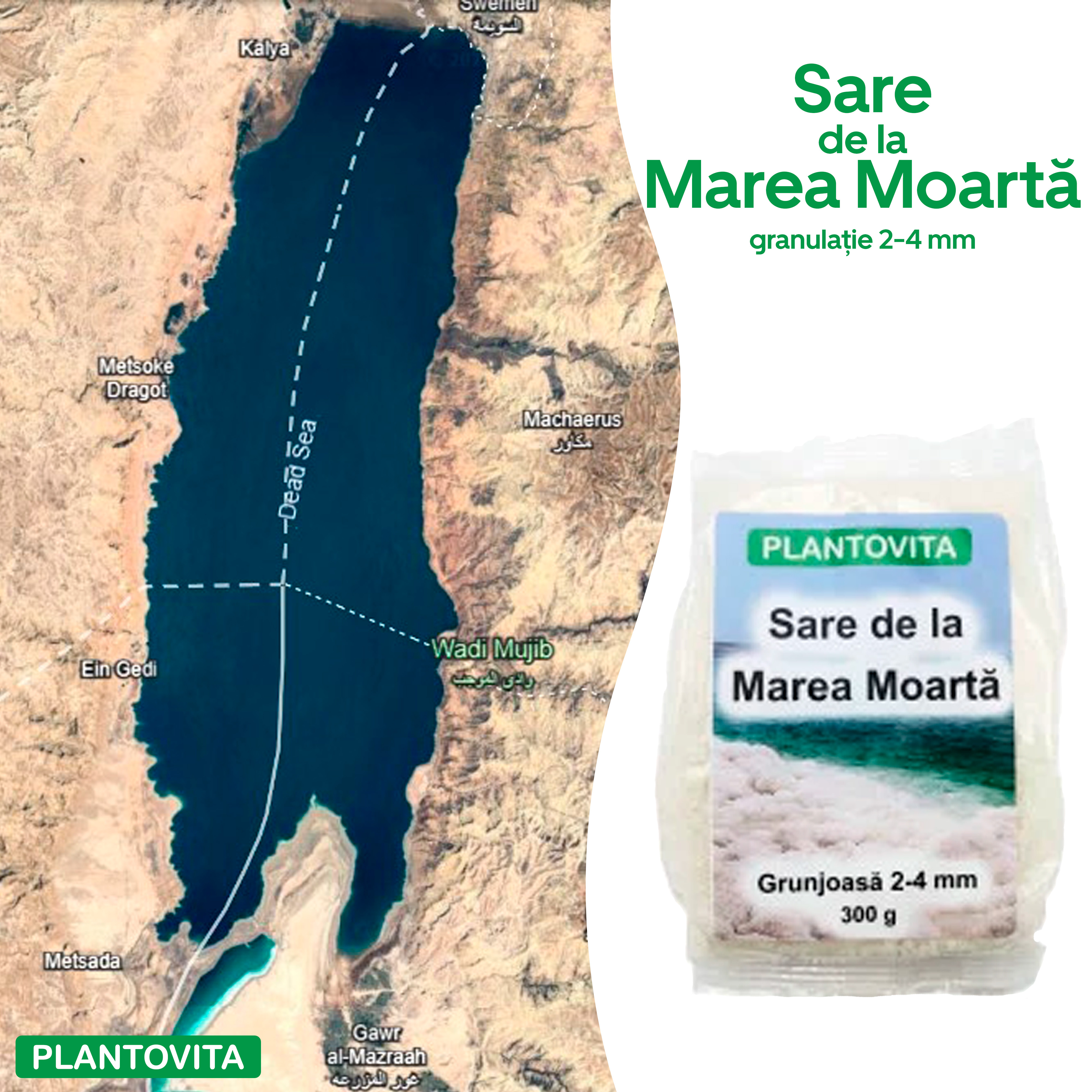 Sare de la Marea Moartă