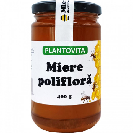 Miere poliflora 100% naturală - 400g