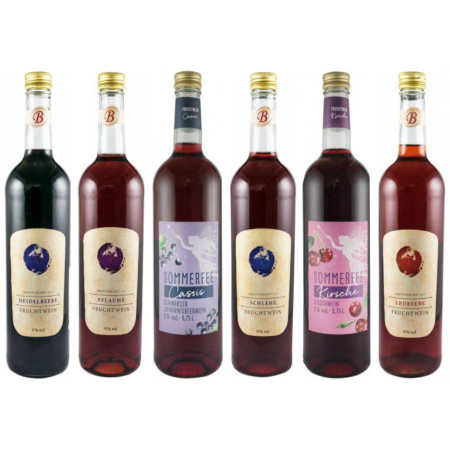 Pachet 6 vinuri fructe: Vin coacaze negre + Vin afine + Vin capsuni + Vin cirese + Vin prune + Vin porumbe