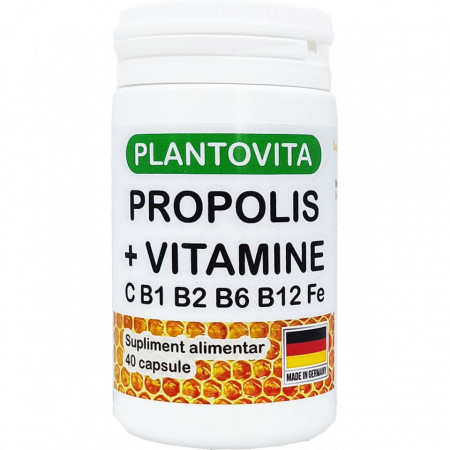 Propolis plus vitaminele C, B1, B2, B6, B12, Fe - 40 comprimate