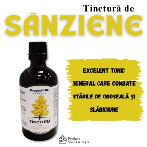 Tinctura de sânziene - 100 ml | Mănăstirea Dragomirna