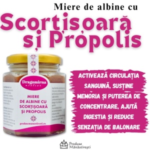 Miere de albine cu Scorțișoară și Propolis, 240 g | Mănăstirea Dragomirna