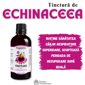Tinctura de echinaceea, 100 ml | Mănăstirea Dragomirna