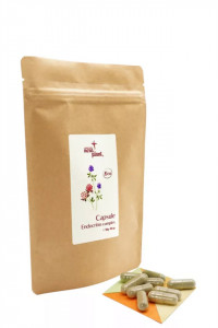 Capsule Nera Plant BIO Endocrino-complex, 90 cps.