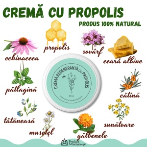 Ingrediente Cremă cu Propolis pentru Arsuri și Înțepături de Insecte – Regenerare Naturală, 100 ml