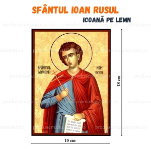 Icoana pe lemn Sfantul Ioan Rusul