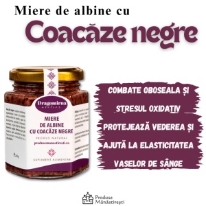 Miere cu Coacăze Negre (240g) – Imunitate Naturală | Dragomirna
