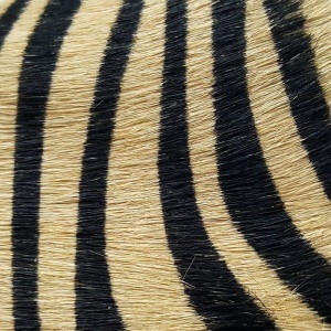 Sandale din piele pony, AVARCA Zebra Brown - Img 5