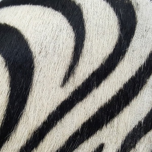 Sandale din piele pony, AVARCA Zebra White - Img 4
