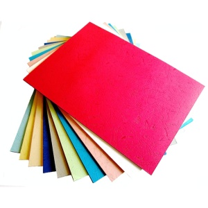 Carton colorat neted, 160 gr, A4, 10 culori, 100 file / set
