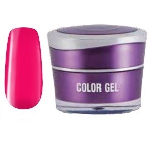  Color Gel nr. 221 - Perfect Nails - Img 1
