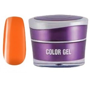 Color Gel nr. 219 - Perfect Nails
