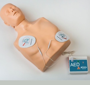 Manechin simulator Vimetecsa PRACTI-MAN CPR - Img 4
