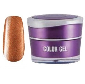 Color Gel nr. 204 - Perfect Nails