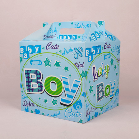 Cutie pentru trusou - „Baby Boy”