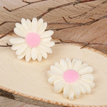 margareta-ceara-soia