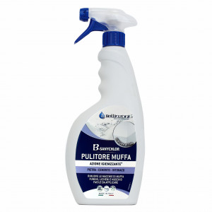 Igienizant antimucegai B-SANYCHLOR 750 ml