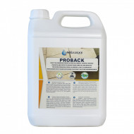 Protectiv antieflorescente saline Bellinzoni Proback canistra 5 litri