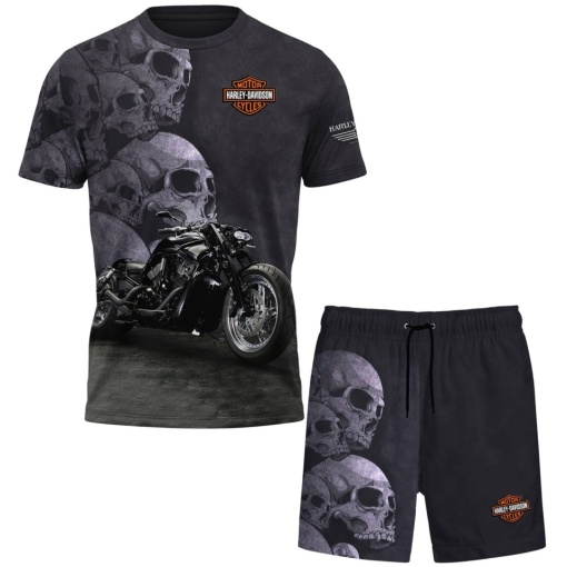 Set Harley Davidson 4008