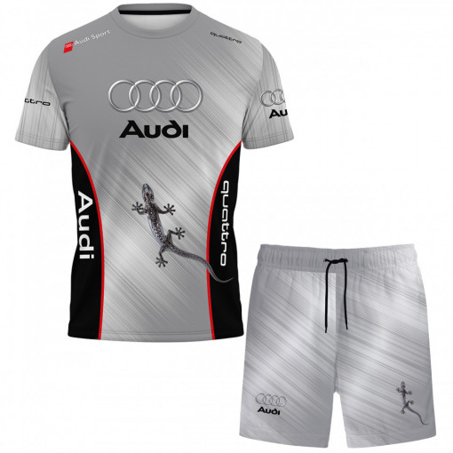 Set Audi D104