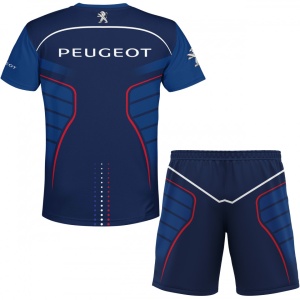 Set Peugeot D018-STL - Img 2