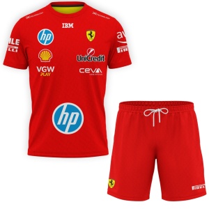 Set Lewis Hamilton F1 D176-STL