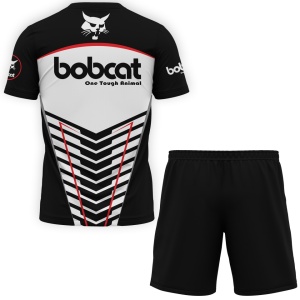 Set Bobcat X012 - Img 3