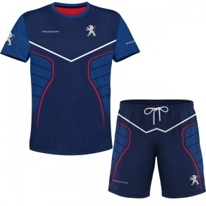 Set Peugeot D018-STL