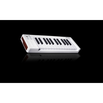 Arturia MicroLab mk3 White - Claviatura MIDI - Img 7