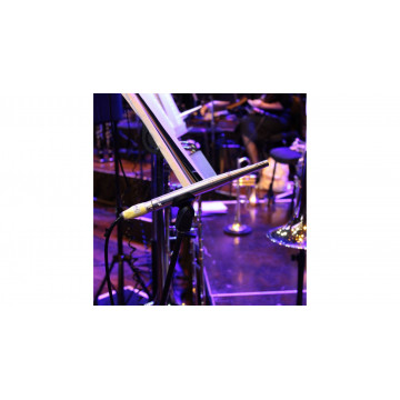 Earthworks Audio QTC30 - Microfon condenser omnidirectional - Img 2