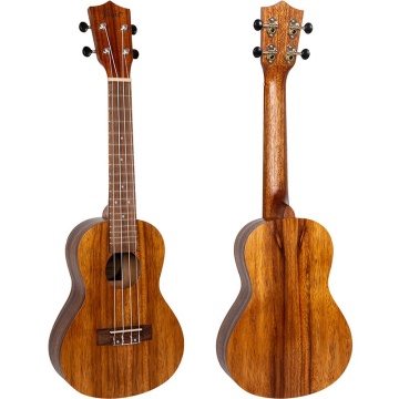 Flight NUC200 - Ukulele Concert - Img 3