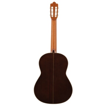 Prodipe Guitars Soloist 700 - Chitara clasica - Img 2
