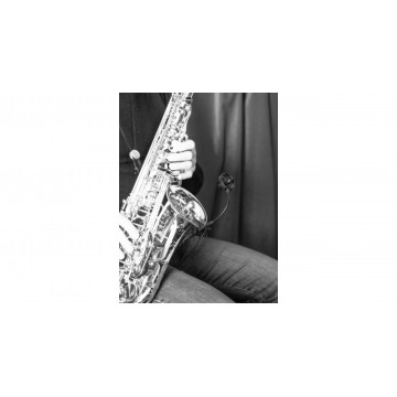 Prodipe SB21 - Microfon pentru saxofon si alamuri - Img 4