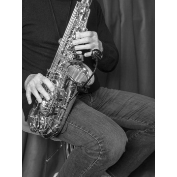 Prodipe SB21 - Microfon pentru saxofon si alamuri - Img 11