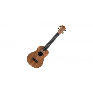 Flight TUC-50 - Ukulele Concert - Img 3