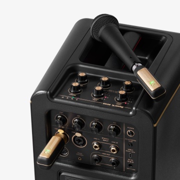 Positive Grid Spark LINK XLR - Sistem wireless pentru microfon - Img 5