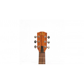 Prodipe Guitars SD27 MHS Dreadnought - Chitara acustica - Img 2