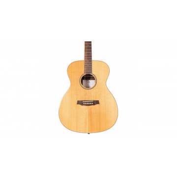 Prodipe Guitars SGA100 Grand Auditorium - Chitara acustica - Img 4