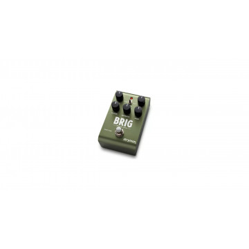 Strymon Brig dBucket - Pedala Delay - Img 3